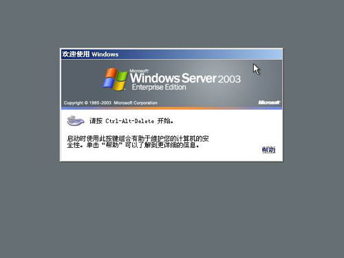 计算机服务器Windows Server操作系统安装与基础系统服务配置指南